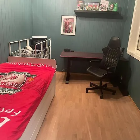 Hel Moderne Enebolig Med Utsikt