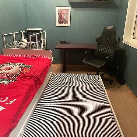 Hel Moderne Enebolig Med Utsikt *